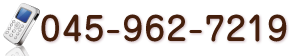 045-962-7219